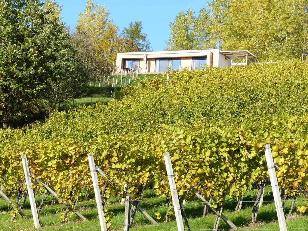 Weingarten-Resort Unterlamm Loipersdorf - Adults Only Kültér fotó