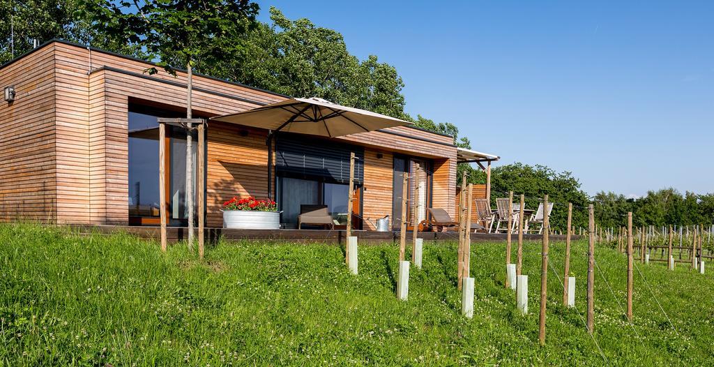 Weingarten-Resort Unterlamm Loipersdorf - Adults Only Kültér fotó
